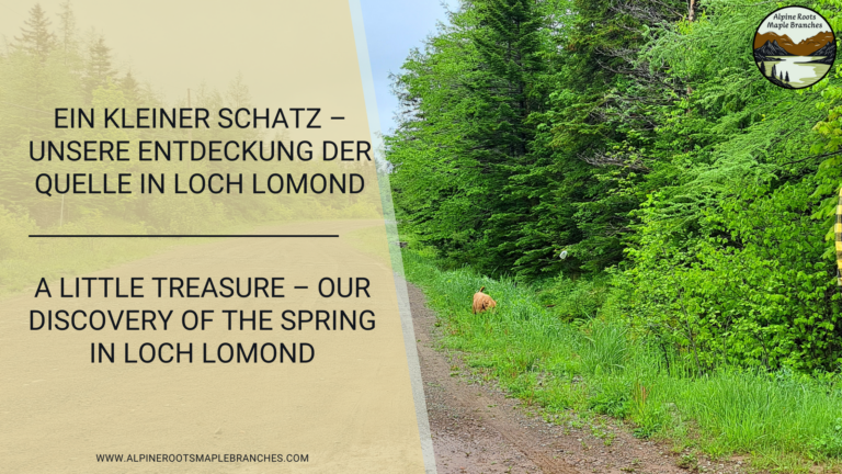 A Little Treasure – Our Discovery of the Spring in Loch Lomond