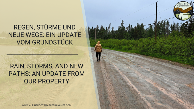 Regen, Stürme und neue Wege: Ein Update vom Grundstück