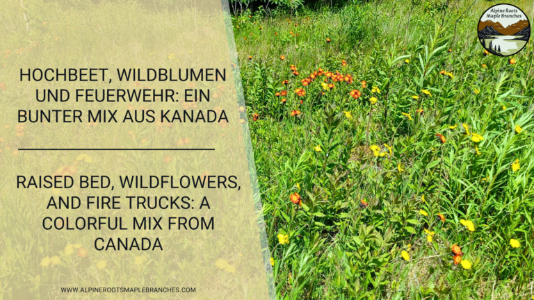 Raised Bed, Wildflowers, and Fire Trucks: A Colorful Mix from Canada