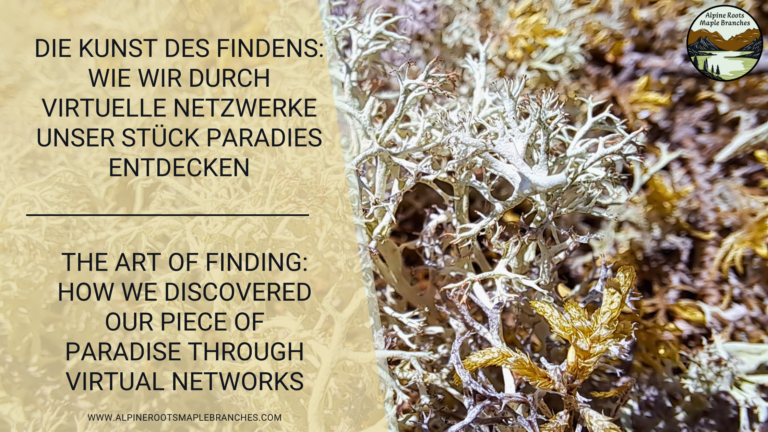 Die Kunst des Findens: Wie wir durch virtuelle Netzwerke unser Stück Paradies entdecken