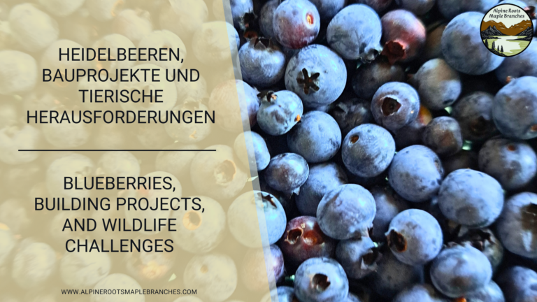 Heidelbeeren, Bauprojekte und tierische Herausforderungen