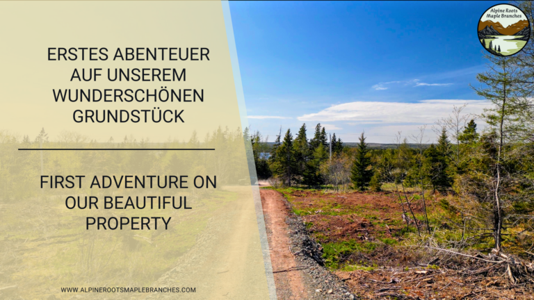 Erstes Abenteuer auf unserem wunderschönen Grundstück