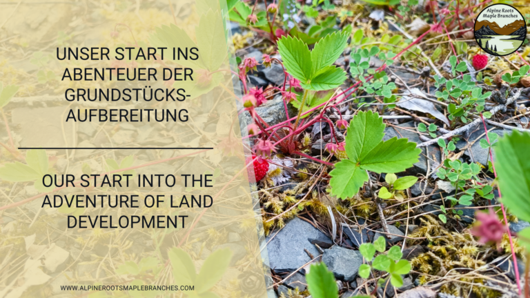 Unser Start ins Abenteuer der Grundstücksaufbereitung