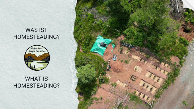 What is Homesteading?