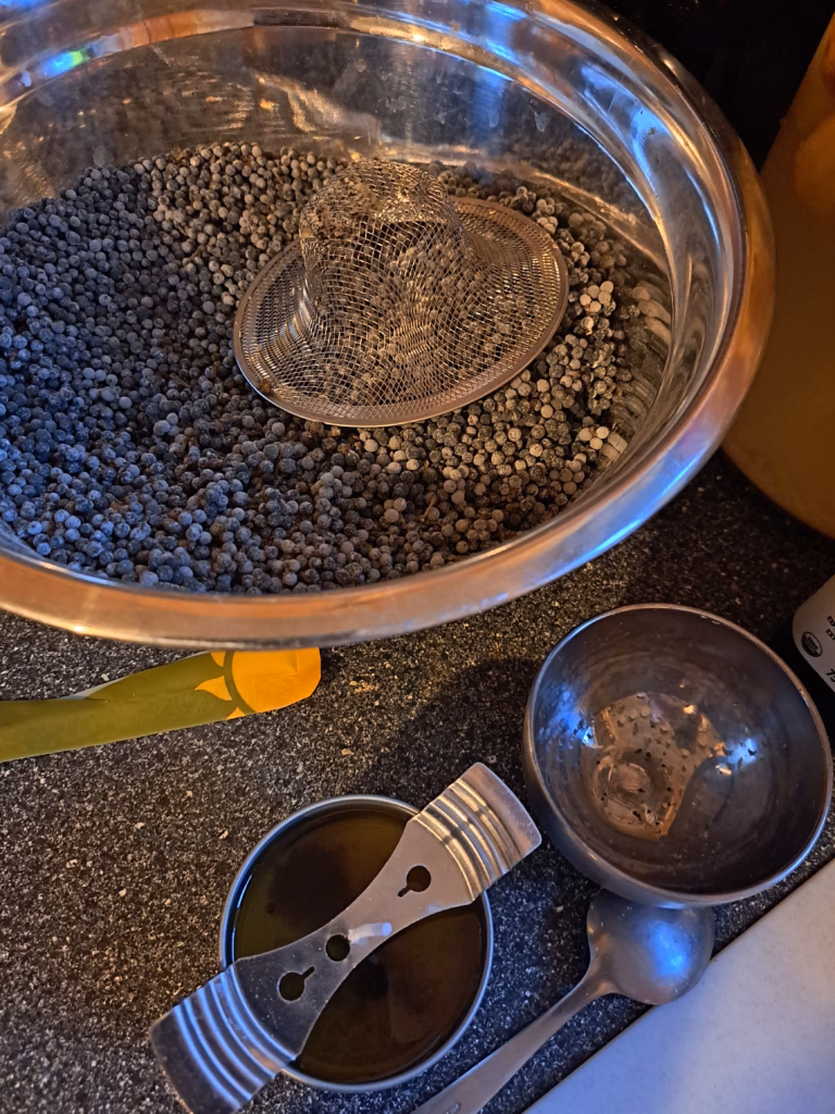 Eine Edelstahlschüssel gefüllt mit graublauen Wachsbeeren (Myrica pensylvanica), die zur Gewinnung von natürlichem Kerzenwachs in Cape Breton gesammelt wurden.