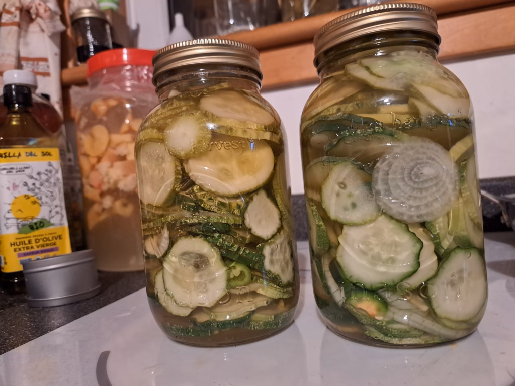 Zwei geschlossene Einmachgläser, gefüllt mit in Scheiben geschnittenen eingelegten Gurken und Zwiebeln, die aufbewahrt werden.