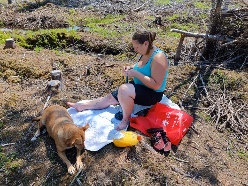 Eine Frau sitzt barfuß auf einer weißen Decke im lichten Wald von Cape Breton und strickt, während ein brauner Hund treu neben ihr wacht.